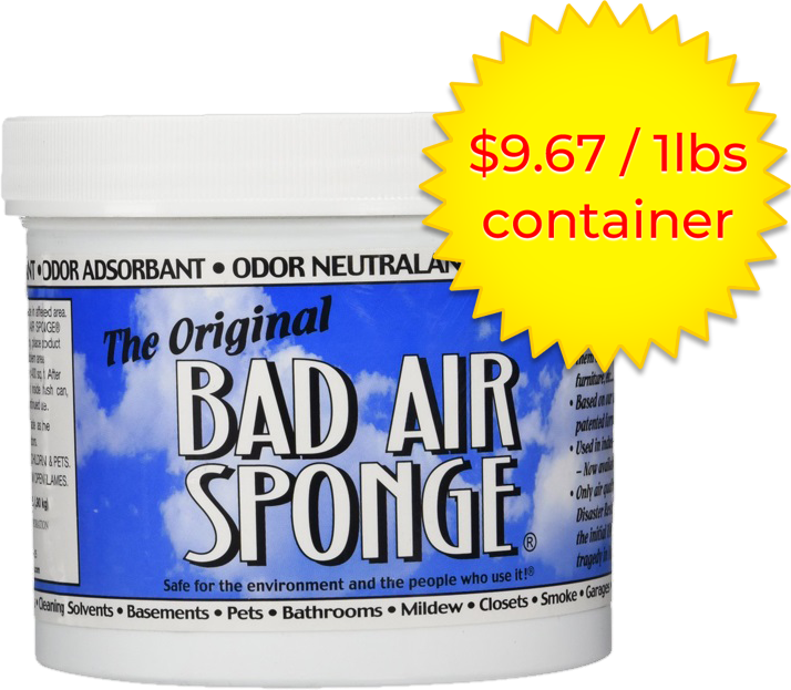 Original Bad Air Sponge